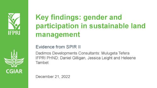 Key findings: gender and participation in sustainable land management