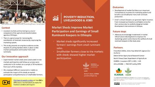 Market sheds improve market participation and earnings of small ruminant keepers in Ethiopia