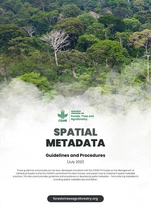 Spatial Metadata: Guidelines and Procedures