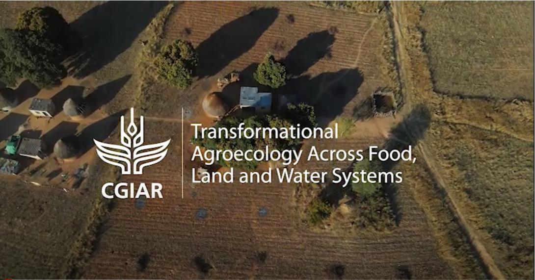 Towards agroecological living landscapes: First experiences from CIMMYT-Zimbabwe