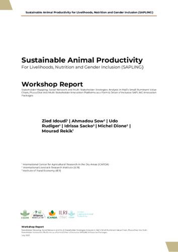 Stakeholder Mapping, Social Network and Multi-Stakeholder Strategies Analysis in Mali’s small ruminant value chain, Plus a Dive into Innovative Multi-Stakeholder Innovation Platforms as a Form & Driver of Inclusive SAPLING Innovation Packages