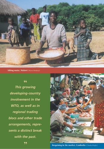 Globalization, trade reform, and the developing countries: essay in IFPRI Annual Report