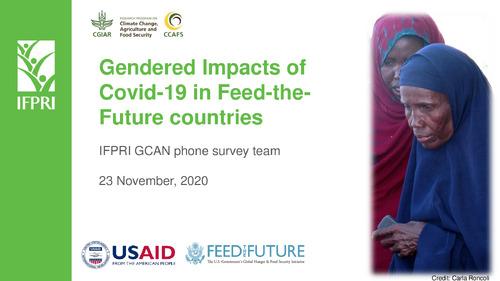 Gendered Impacts of Covid-19 in Feed-the-Future countries