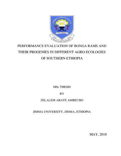 Performance evaluation of Bonga rams and their progenies in different agro-ecologies of southern Ethiopia