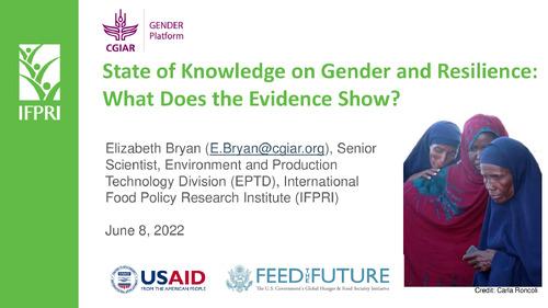 State of Knowledge on Gender and Resilience: What Does the Evidence Show?