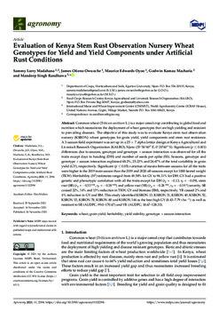 Evaluation of Kenya stem rust observation nursery wheat genotypes for yield and yield components under artificial rust conditions