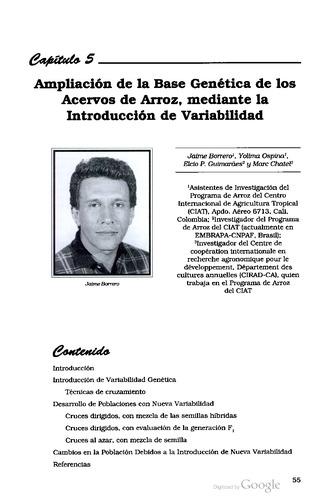 Ampliación de la base genética de los acervos de arroz, mediante la introducción de variabilidad