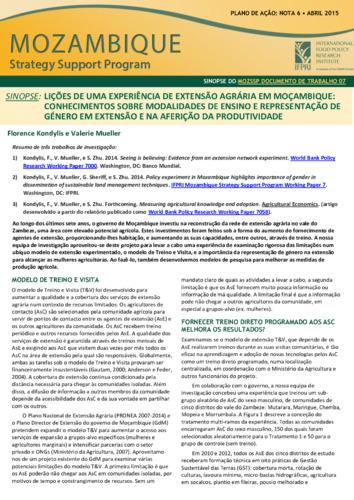 Lessons from an agricultural extension experiment in Mozambique: insights on teaching modalities and gender representation in extension and on productivity measurement
