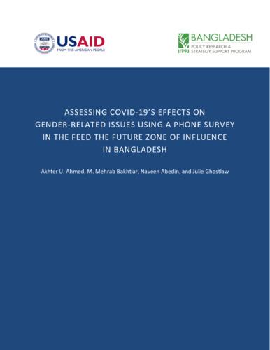 Assessing COVID-19's effects on gender-related issues using a phone survey in the Feed the Future zone of influence in Bangladesh