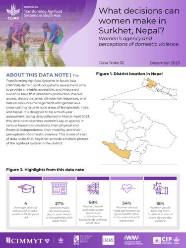 What decisions can women make in Surkhet, Nepal? Women’s agency and perceptions of domestic violence