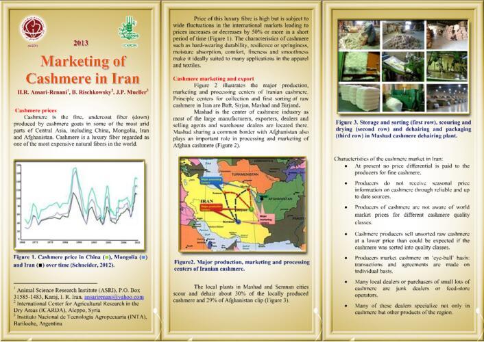 Marketing of cashmere in Iran