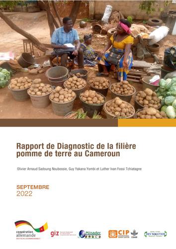 Rapport de Diagnostic de la filière pomme de terre au Cameroun
