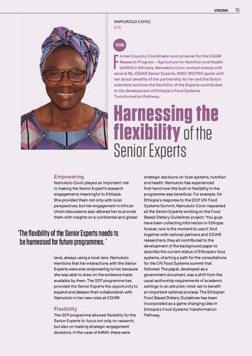 Harnessing the flexibility of the Senior Experts