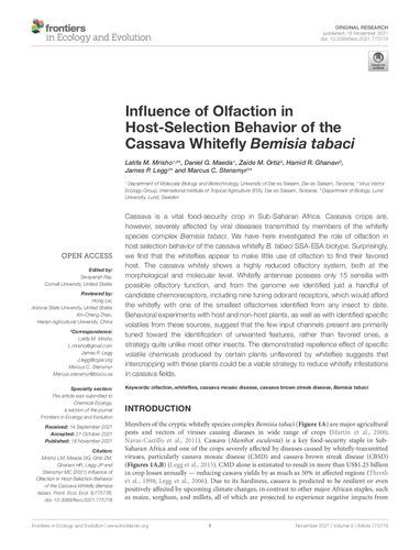 Influence of olfaction in host-selection behavior of the cassava whitefly Bemisia tabaci