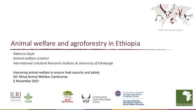 Animal welfare and agroforestry in Ethiopia