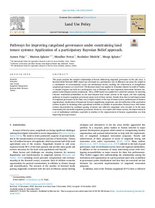Pathways for improving rangeland governance under constraining land tenure systems: Application of a participatory Bayesian Belief approach