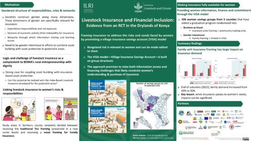 Livestock Insurance and Financial Inclusion: Evidence from an RCT in the Drylands of Kenya