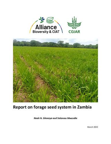 Report on forage seed system in Zambia