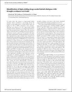 Identification of high-yielding large-seeded kabuli chickpeas with drought avoidance root traits