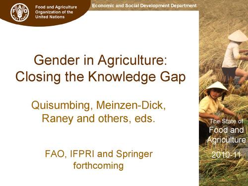 IFPRI Policy Seminar "Beyond Gender Myths: Closing the Knowledge Gap in Agriculture and Food Security" by Terri Raney