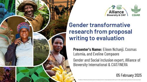 Gender transformative research from proposal writing to evaluation