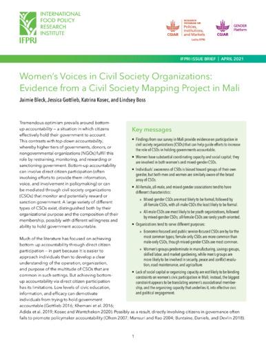 Women’s voices in civil society organizations: Evidence from a civil society mapping project in Mali