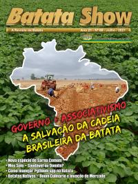 Batatas Nativas: do Cultivo Esquecido ao Boom Culinário e Inovação de Mercado