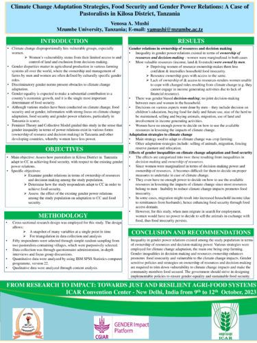 Climate change adaptation strategies, food security and gender relations: A case of pastoralists in Kilosa District, Tanzania