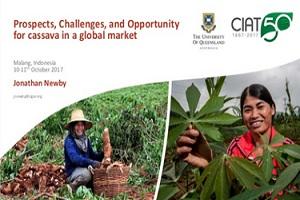 Prospects, Challenges, and Opportunity for cassava in global market