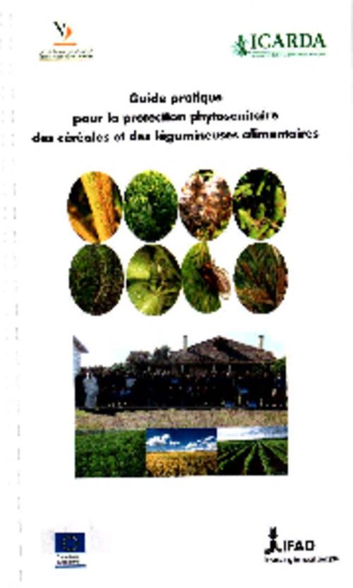 Guide pratique pour la protection phytosanitaires des cereals et legumineuses alimentaires