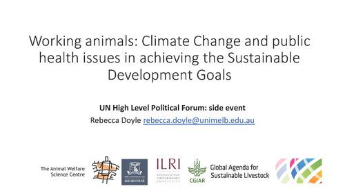 Working animals: Climate change and public health issues in achieving the Sustainable Development Goals