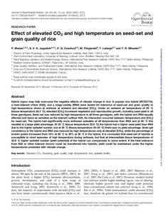 Effect of elevated CO2 and high temperature on seed-set and grain quality of rice
