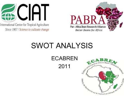 Swot Analysis: ECABREN