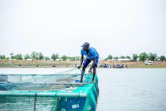 Youth-led aquaculture in Northern Ghana