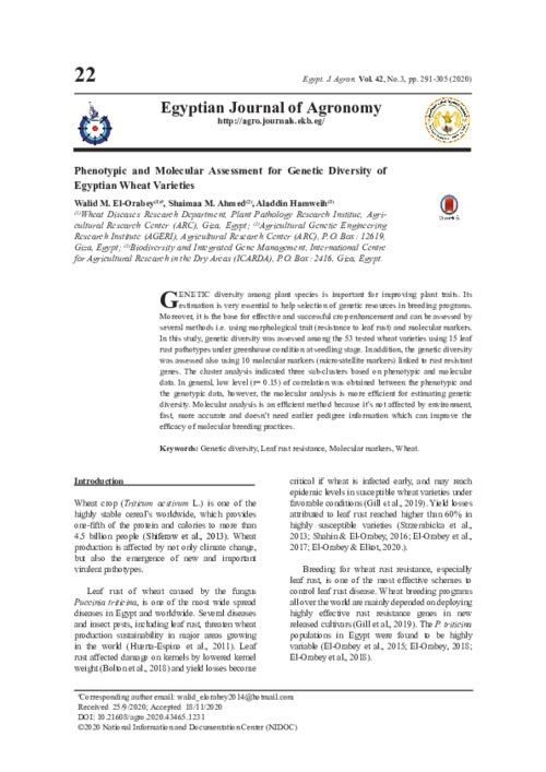 Phenotypic and Molecular Assessment for Genetic Diversity of Egyptian Wheat Varieties