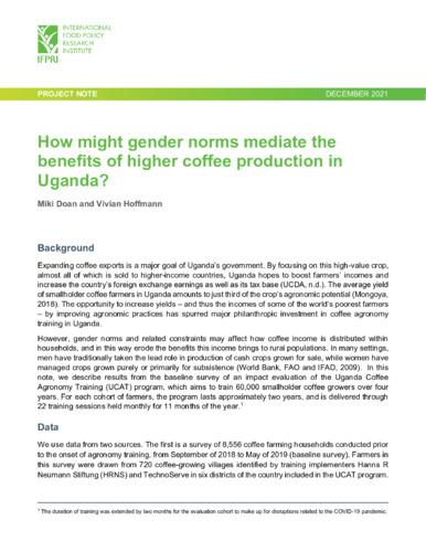 How might gender norms mediate the benefits of higher coffee production in Uganda?
