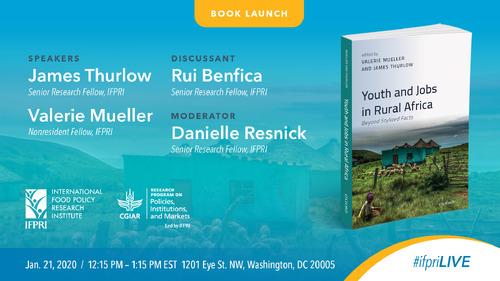 Youth and Jobs in Rural Africa: Beyond Stylized Facts