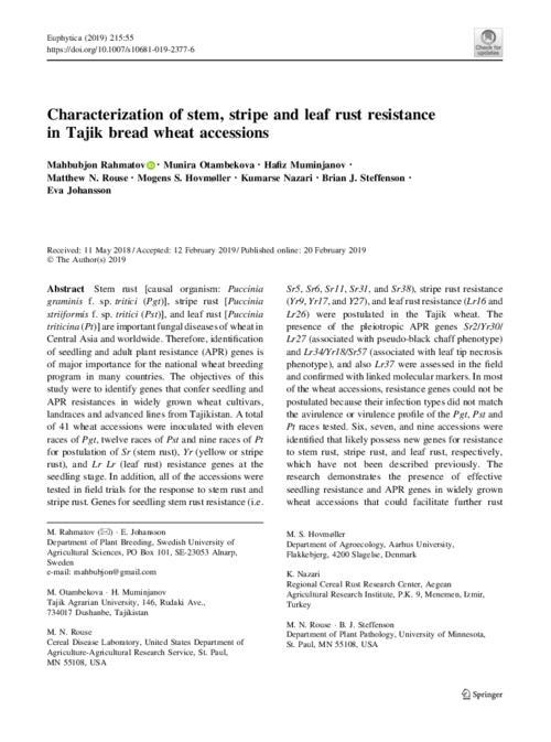 Characterization of stem, stripe and leaf rust resistance in Tajik bread wheat accessions