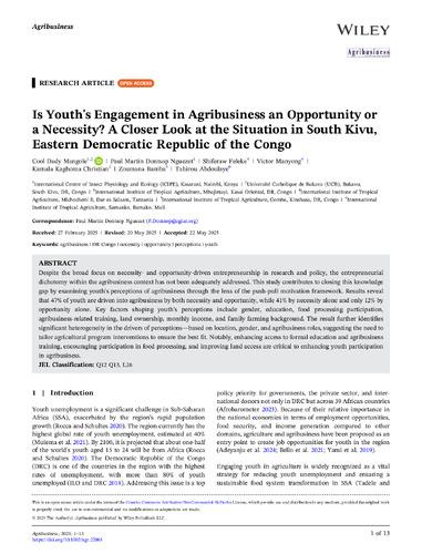 Is youth's engagement in agribusiness an opportunity or a necessity? A closer look at the situation in South Kivu, Eastern Democratic Republic of the Congo