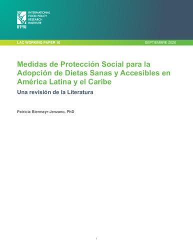 Medidas de protección social para la adopción de dietas sanas y accesibles en América Latina y el Caribe: Una revisión de la literatura