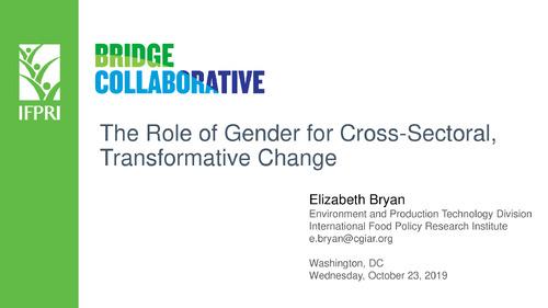The Role of Gender for Cross-Sectoral, Transformative Change