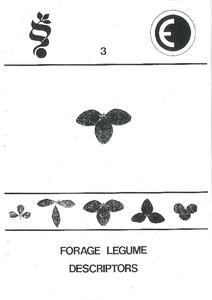 Forage legume descriptors