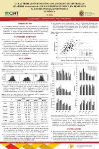 Caracterización fenotípica de un grupo de diversidad de arroz (Oryza sativa L.) de la subespecie indica en respuesta al estés por baja intensidad lumínica