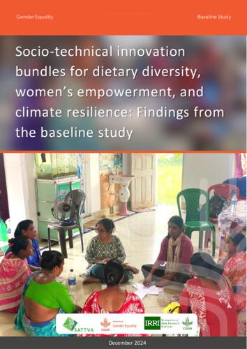Socio-technical innovation bundles for dietary diversity, women’s empowerment, and climate resilience: Findings from the baseline study