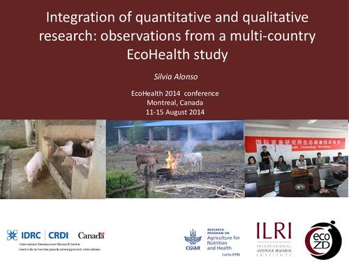 Integration of quantitative and qualitative research: Observations from a multi-country ecohealth study