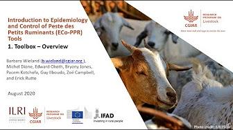 Introduction to Epidemiology and Control of Peste des Petits Ruminants (Eco-PPR) tools. 7.2 Participatory Disease surveillance (PDS)―Research Guide