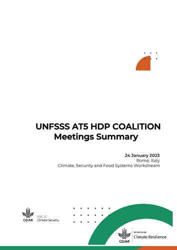 UNFSS AT5 HDP COALITION: Meetings Summary