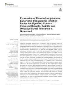 Expression of Pennisetum glaucum Eukaryotic Translational Initiation Factor 4A (PgeIF4A) Confers Improved Drought, Salinity, and Oxidative Stress Tolerance in Groundnut
