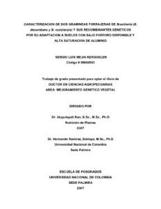 Caracterización de dos gramíneas forrajeras de Brachiaria (B. decumbens y B. ruziziensis) y sus recombinantes genéticos por su adaptación a suelos con bajo fósforo disponible y alta saturación de aluminio. Tesis (Doctor en Ciencias Agropecuarias)