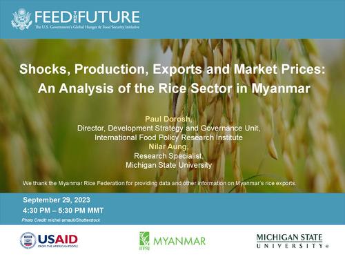 Shocks, Production, Exports and Market Prices: An Analysis of the Rice Sector in Myanmar